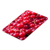 Red Currant Magneet (Linkerzijde)