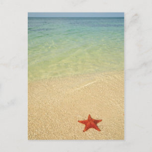 Red Cushion Zee Star Trinidad, Cuba Briefkaart