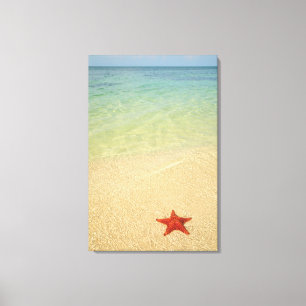 Red Cushion Zee Star   Trinidad, Cuba Canvas Afdruk