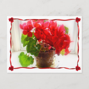 Red Cyclamen Flowers Briefkaart