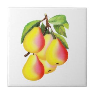 Red D’Anjou Pears —  illustratie Tegeltje