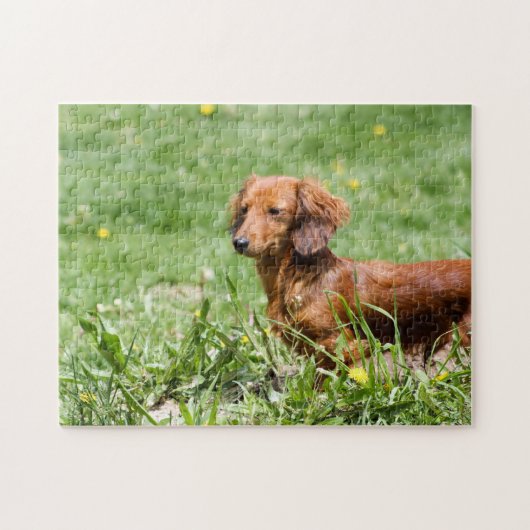 Red Dachshund Legpuzzel (Horizontaal)