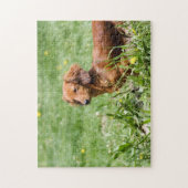 Red Dachshund Legpuzzel (Verticaal)