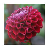 Red Dahlia Bloom Floral Ceramic Tegel Tegeltje (Voorkant)