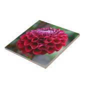 Red Dahlia Bloom Floral Ceramic Tegel Tegeltje (Zijkant)