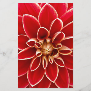 Red Dahlia Briefpapier