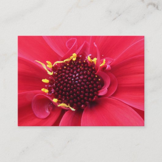 Red Dahlia Close-up Visitekaartje (Voorkant)