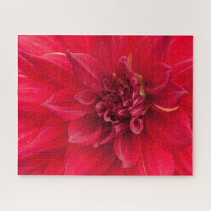 Red Dahlia Flower Legpuzzel