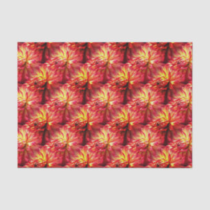 Red Dahlia Flower Natuur Pattern Tissuepapier