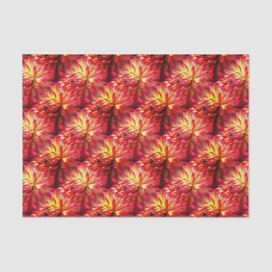 Red Dahlia Flower Natuur Pattern Tissuepapier (Voorkant)