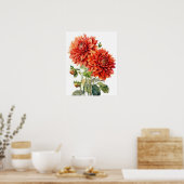 Red Dahlia Flowers Art Print Poster (Keuken)