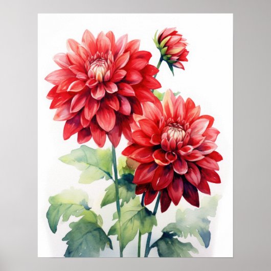 Red Dahlia Flowers Art Print Poster (Voorkant)