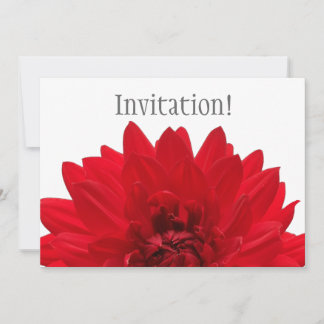 Red Dahlia Kaart