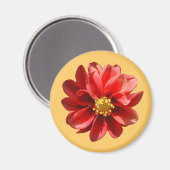 Red Dahlia Magnet (Recto/Verso)