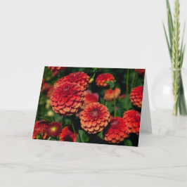 Red Dahlia Note Card Kaart