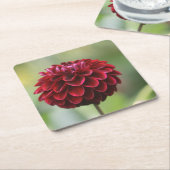 Red Dahlia Onderzetter (Schuin)