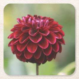 Red Dahlia Onderzetter
