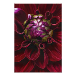 Red Dahlia Photo Print Foto Afdruk