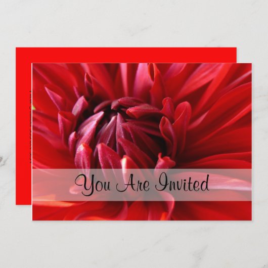 Red Dahlia u wordt uitgenodigd Kaart (Voorkant / Achterkant)