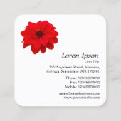 Red Dahlia - White Vierkante Visitekaartje (Achterkant)