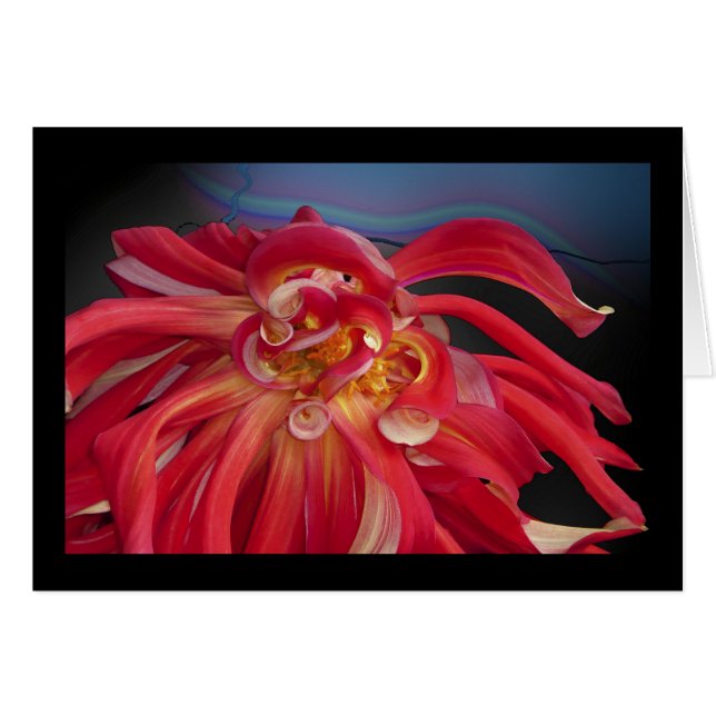 Red Dahlia: www.GraceArtGroup.com (Voorkant Horizontaal)
