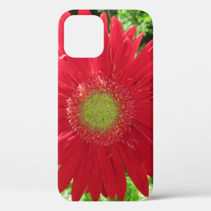 Red Daisy Floral fotografie iPhone 12 Hoesje