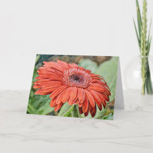 Red Daisy Flower Art Note Kaart