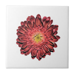 Red Daisy Flower Tegeltje