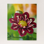 Red Daisy Jigsaw Puzzle (Vertical)