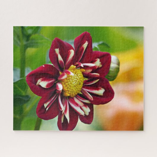 Red Daisy Jigzaag Puzzle Legpuzzel (Horizontaal)