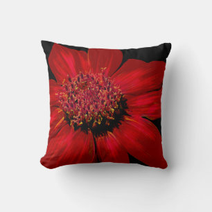Red Daisy met een gloed Kussen