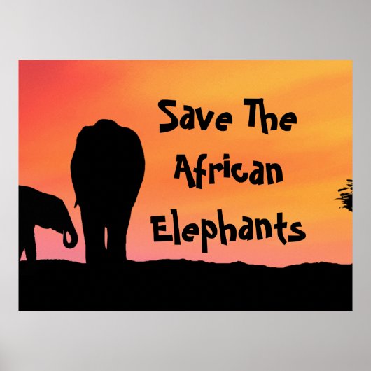 Red de Afrikaanse Olifanten Poster (Voorkant)