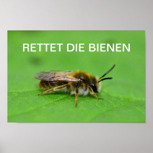 Red de bijen poster