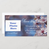 red de date , cherry blossom save the date (Voorkant / Achterkant)