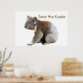 Red de Koala Poster (Keuken)