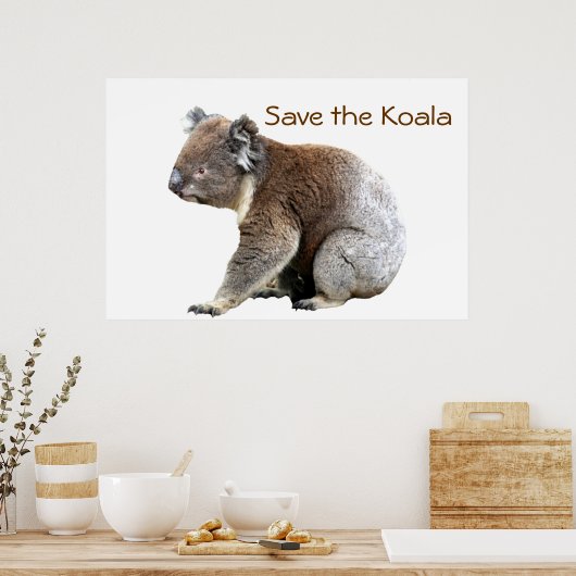 Red de Koala Poster (Keuken)
