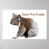 Red de Koala Poster (Voorkant)
