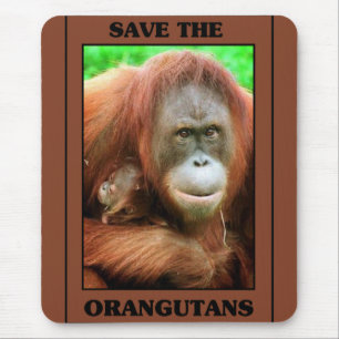 Red de Orangutans Muismat