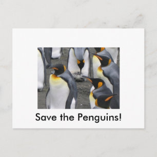 Red de pinguïns! Briefkaart