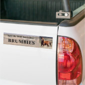 Red de wilde Australische Brumbies Bumpersticker (Op Truck)