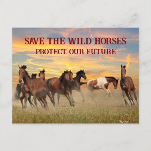 Red de wilde paarden briefkaart