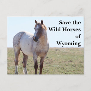 Red de Wilde Paarden van Wyoming Postcard Briefkaart