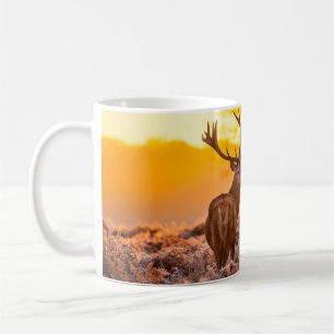Red Deer in Morning Sun. herten, dieren, wilde die Koffiemok