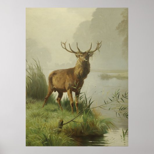 Red Deer schilderij Poster (Voorkant)
