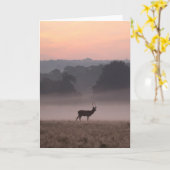 Red Deer Stag at Dawn - Carte de voeux (Fleur jaune)