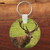 Red Deer Stag Sleutelhanger (Voorkant)