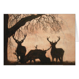 Red Deer Stags-kaart