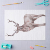 Red Deer Waterverf Tissuepapier (Craft)