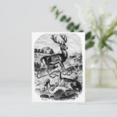 Red Deer  Wood Engraving Briefkaart (Staand voorkant)