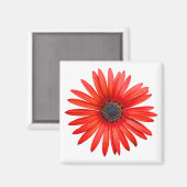 Red Devil Magneet (Voorkant / Achterkant)